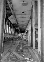 Nature takes Its coarse 